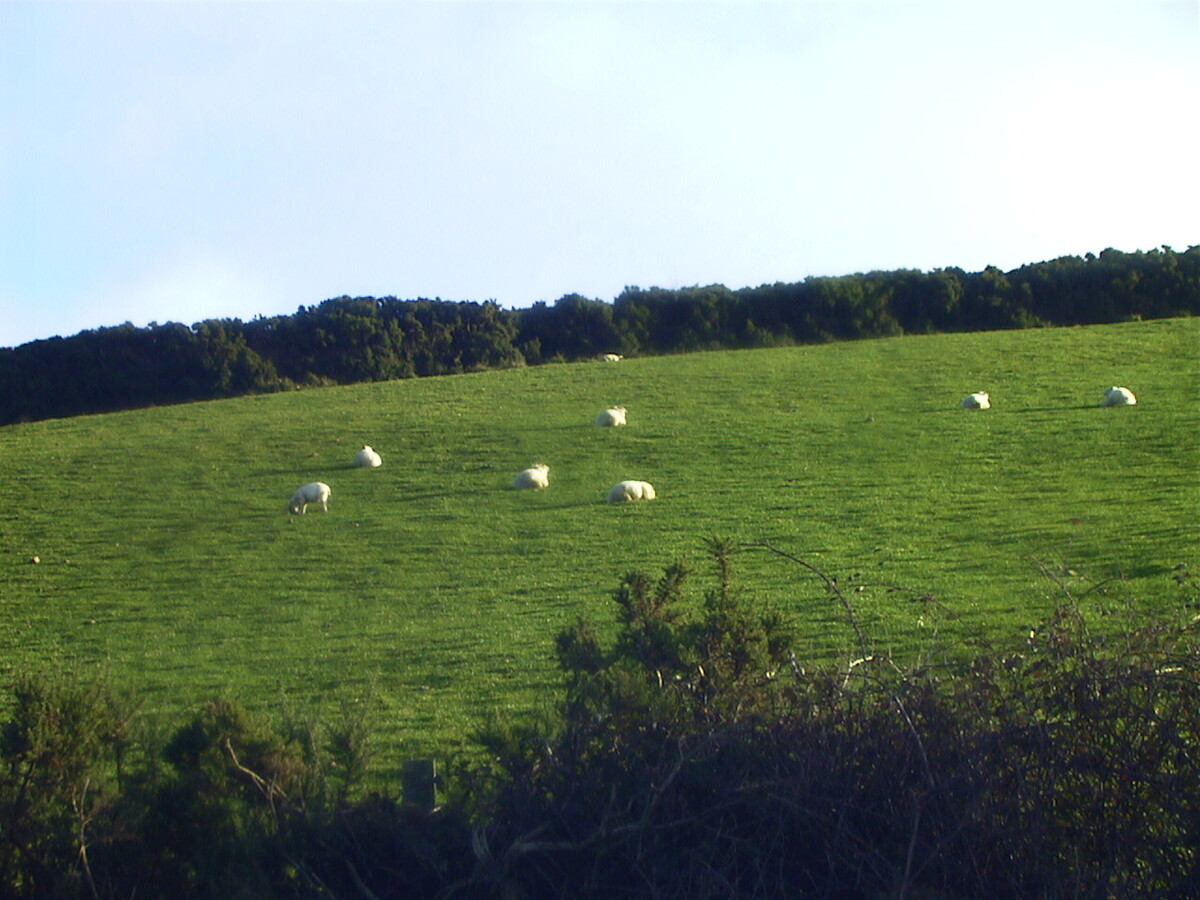 Picture Ireland 2000-11 5 - Night Ireland