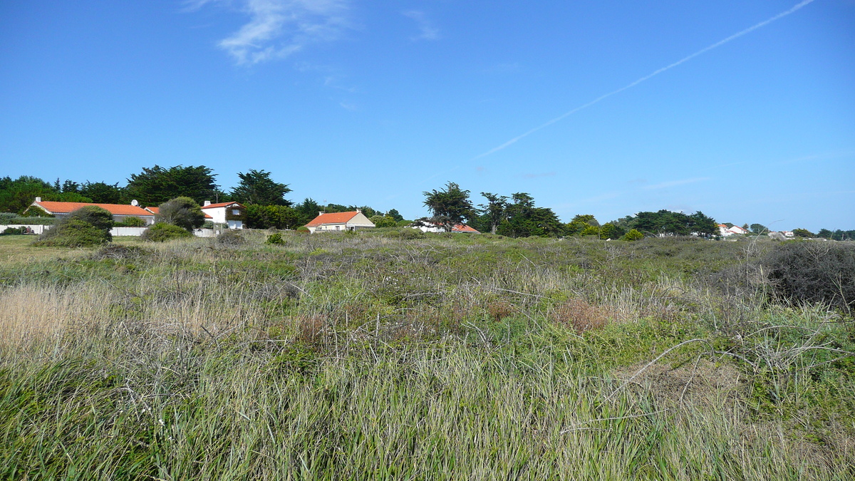 Picture France Prefailles Pointe St Gildas to Prefailles 2007-07 24 - Saving Pointe St Gildas to Prefailles