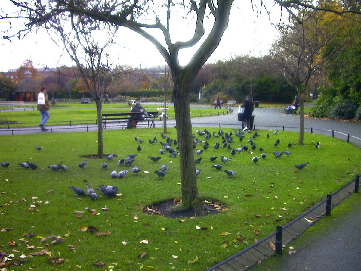 Picture Ireland Dublin 2000-11 3 - Room Dublin