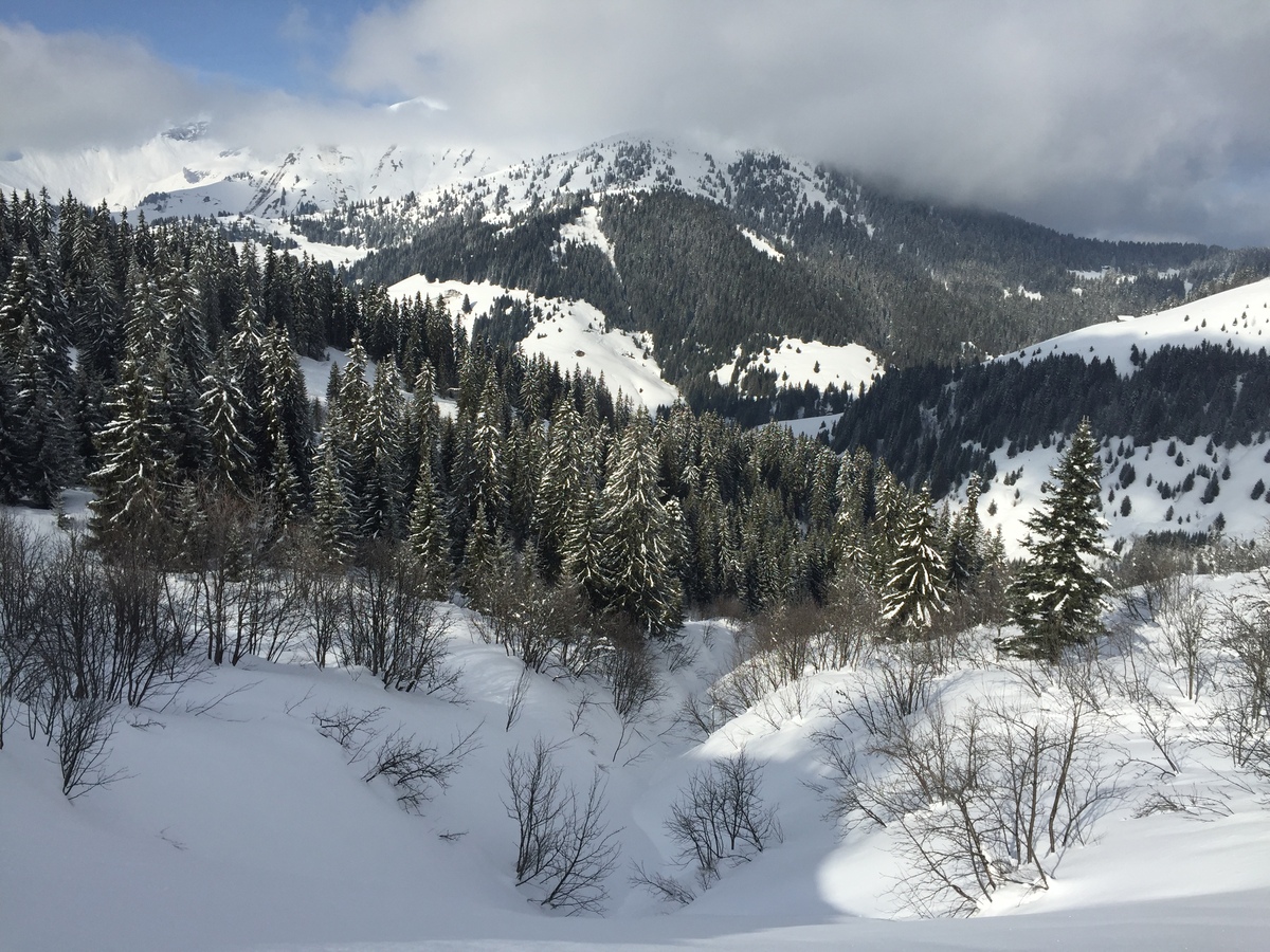 Picture France Megeve 2016-02 56 - City Megeve