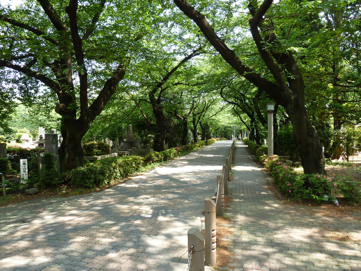 Picture Japan Tokyo Omotesando 2010-06 54 - Resort Omotesando