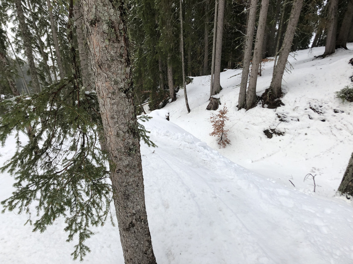 Picture France Megeve 2019-03 66 - Room Megeve