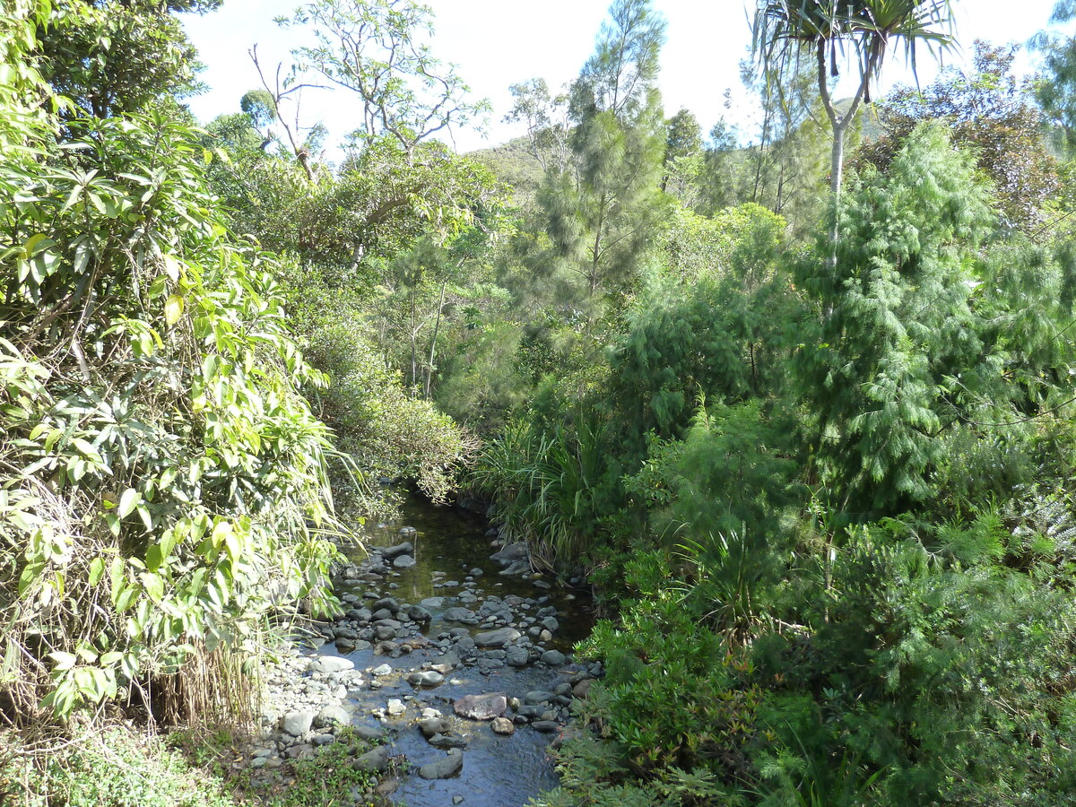 Picture New Caledonia Thio to Canala road 2010-05 5 - Lakes Thio to Canala road