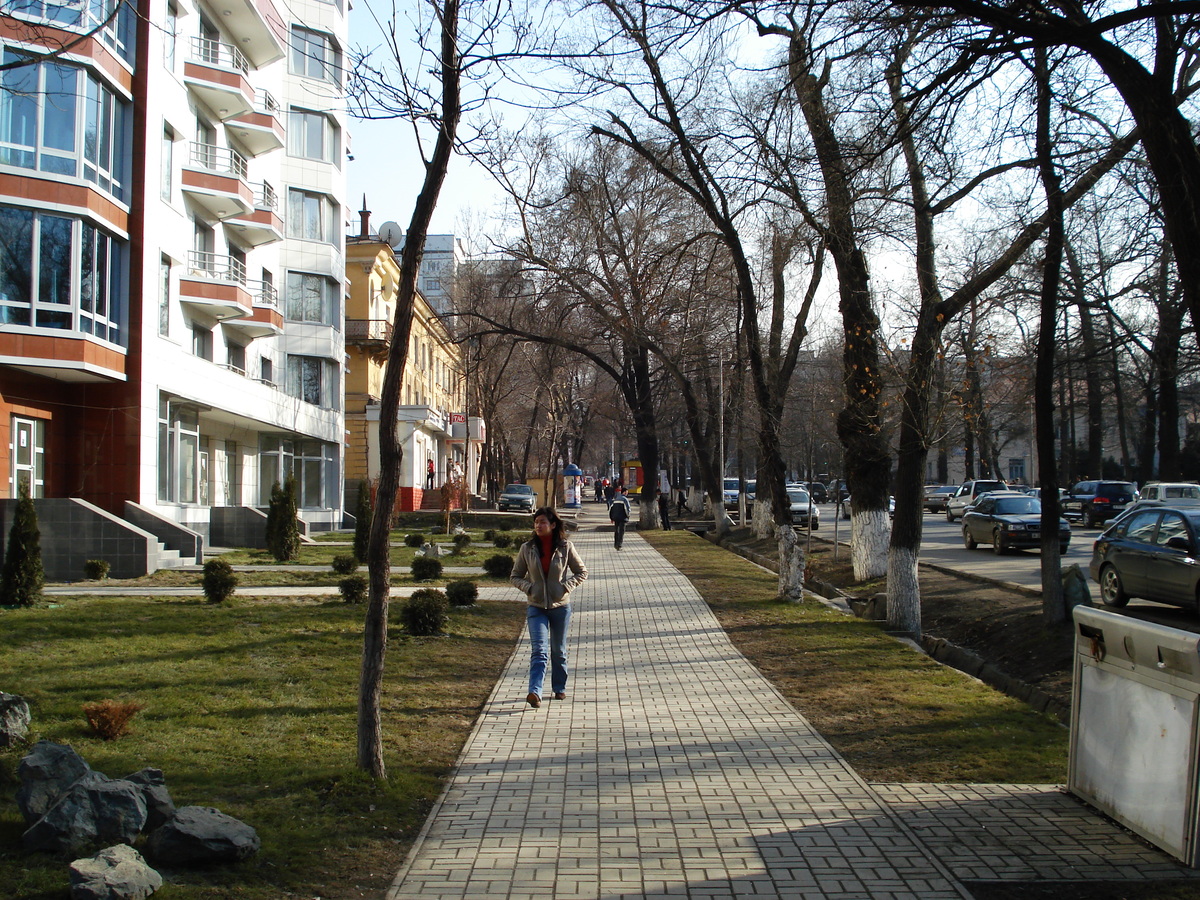 Picture Kazakhstan Almaty 2007-03 90 - Hotel Almaty