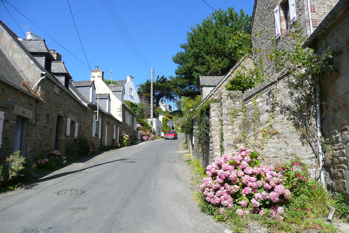 Picture France St Michel en Greve 2007-08 61 - Spring St Michel en Greve