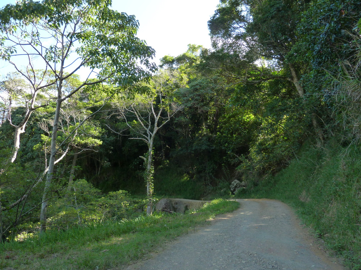 Picture New Caledonia Thio to Canala road 2010-05 74 - Rental Thio to Canala road