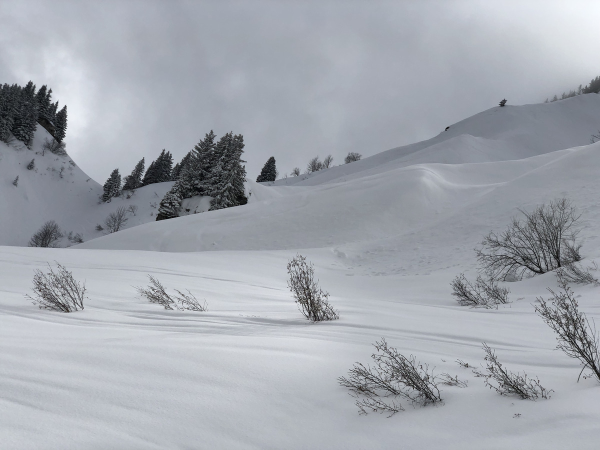 Picture France Megeve 2019-03 38 - City Megeve