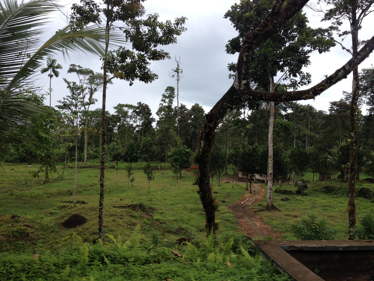 Picture Panama David to Bocas del toro 2015-03 61 - Hotel Pools David to Bocas del toro