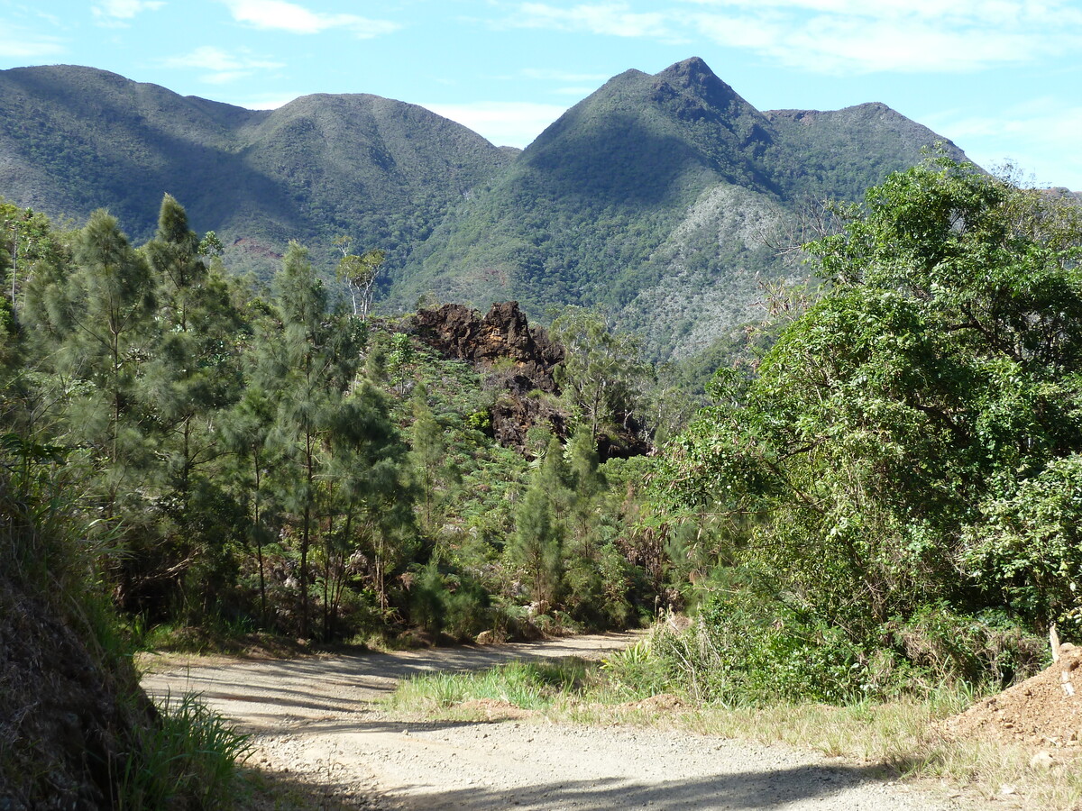 Picture New Caledonia Thio to Canala road 2010-05 35 - Saving Thio to Canala road