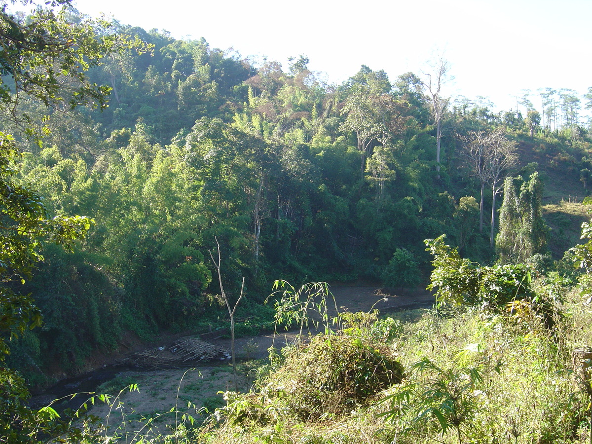 Picture Thailand Pang ma pha 2005-12 92 - Winter Pang ma pha