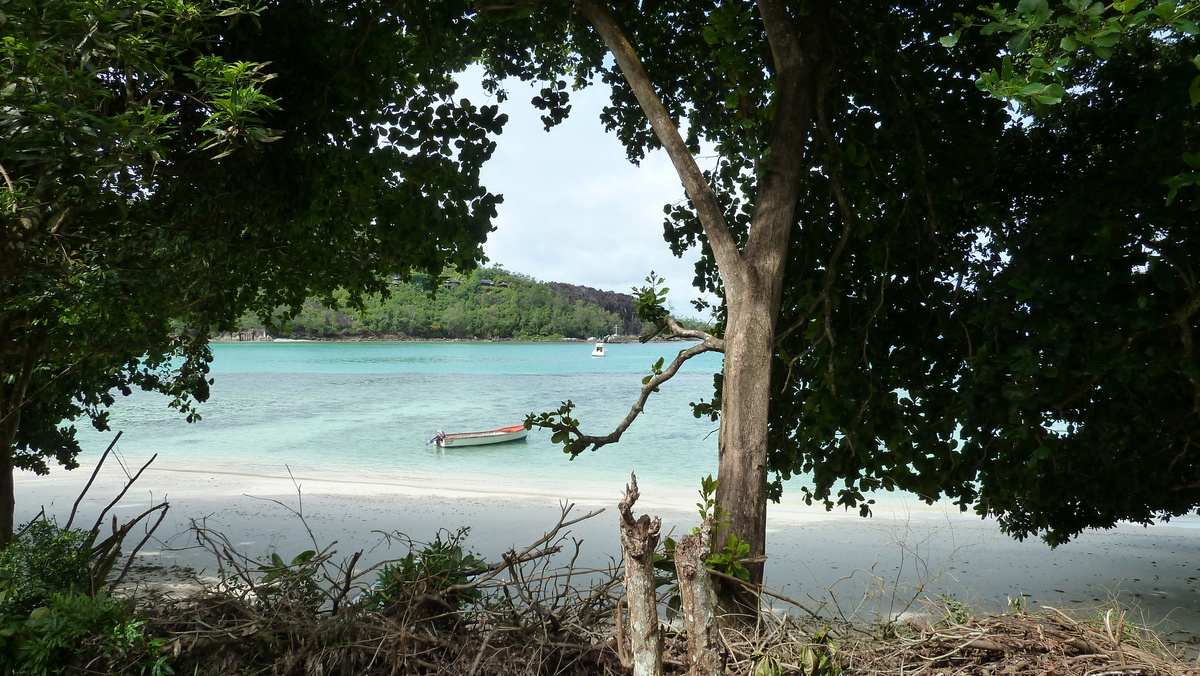 Picture Seychelles Mahe 2011-10 48 - SPA Mahe