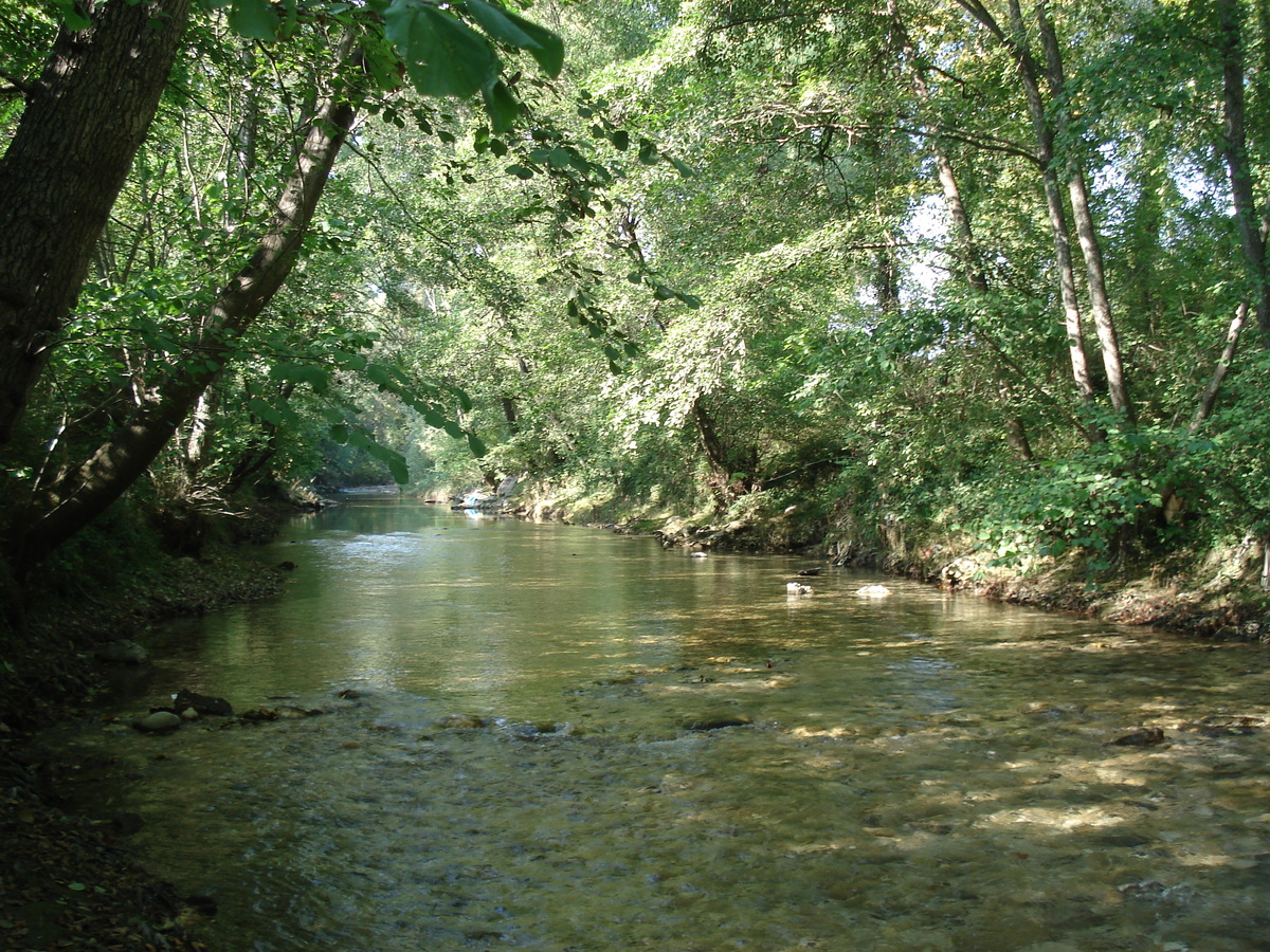 Picture France Villeneuve Loubet 2006-10 15 - Lakes Villeneuve Loubet