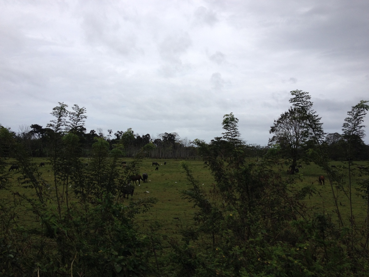 Picture Panama David to Bocas del toro 2015-03 73 - Resort David to Bocas del toro