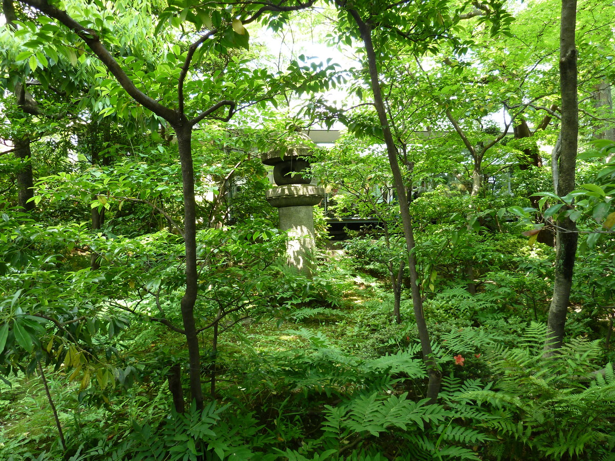 Picture Japan Tokyo Nezu Museum 2010-06 69 - Sauna Nezu Museum