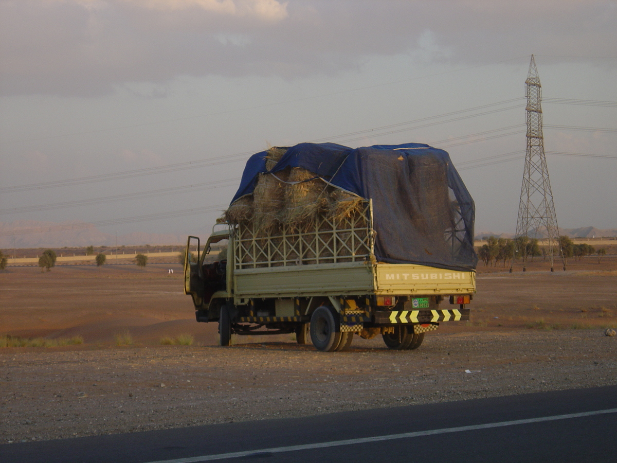 Picture United Arab Emirates Al Ain Desert 2005-11 10 - Winter Desert