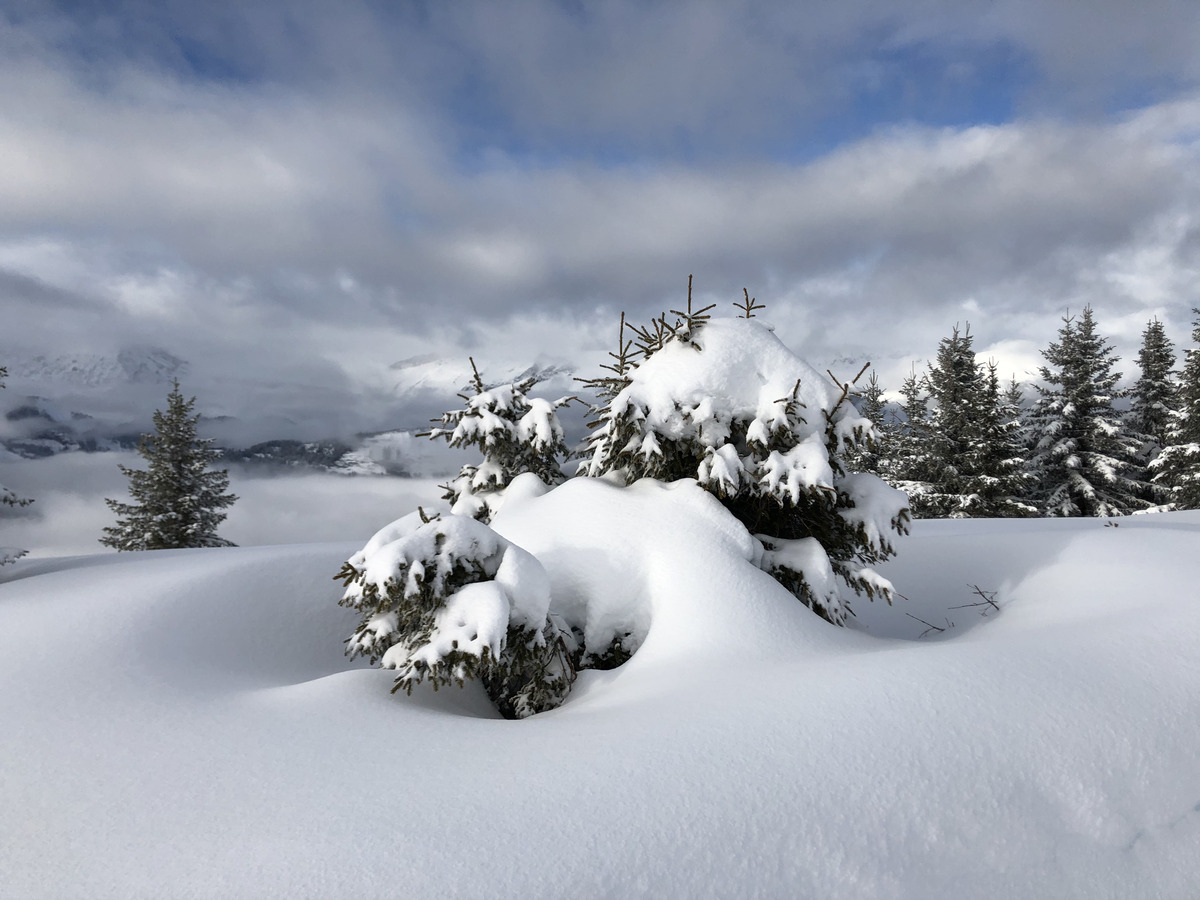 Picture France Praz sur Arly 2019-12 213 - Monuments Praz sur Arly