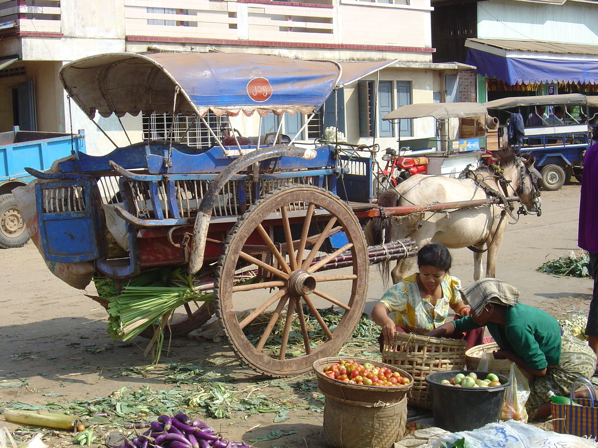 Picture Myanmar Dawei (TAVOY) 2005-01 84 - Walking Street Dawei (TAVOY)