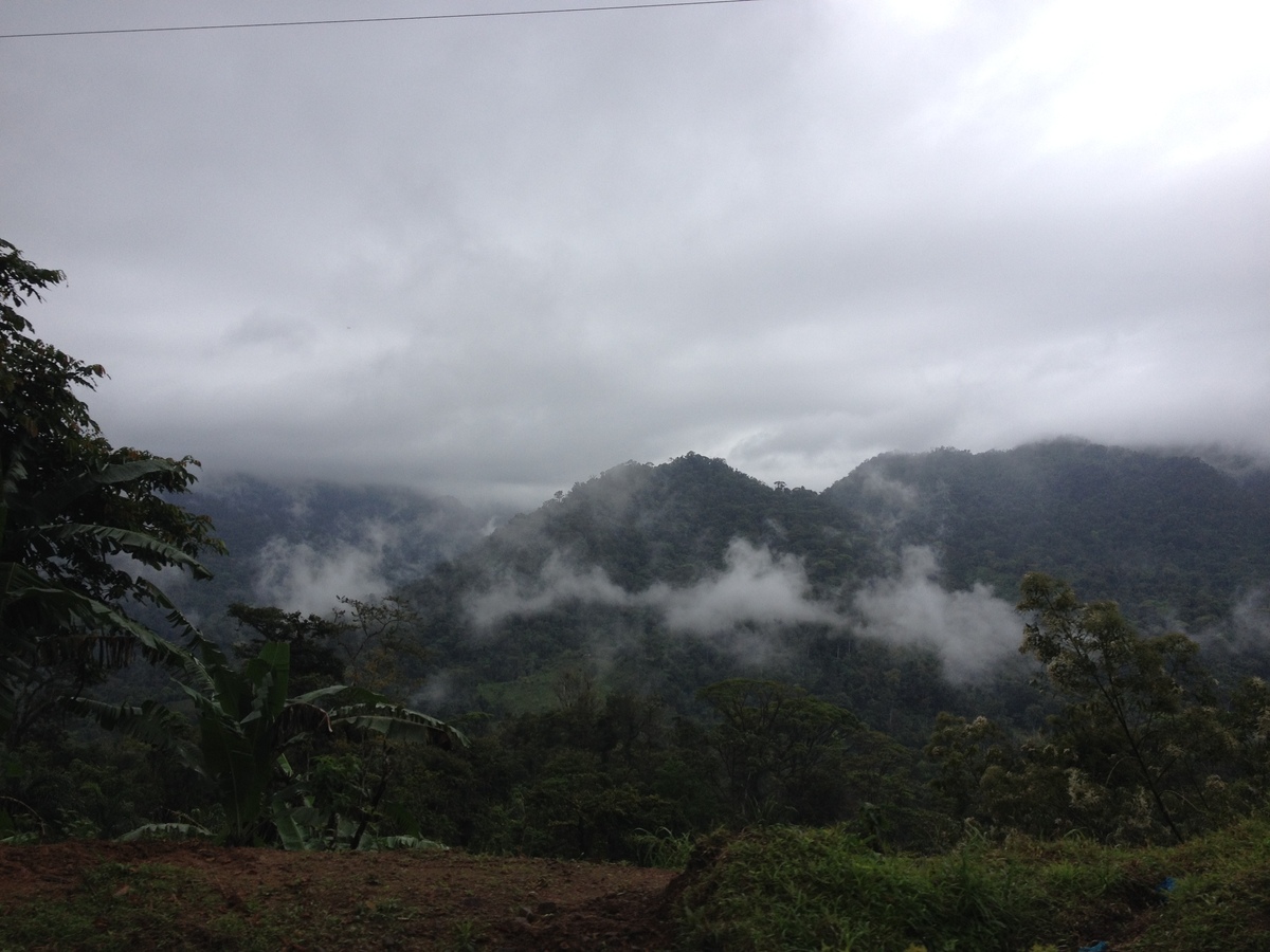 Picture Panama David to Bocas del toro 2015-03 47 - Lake David to Bocas del toro