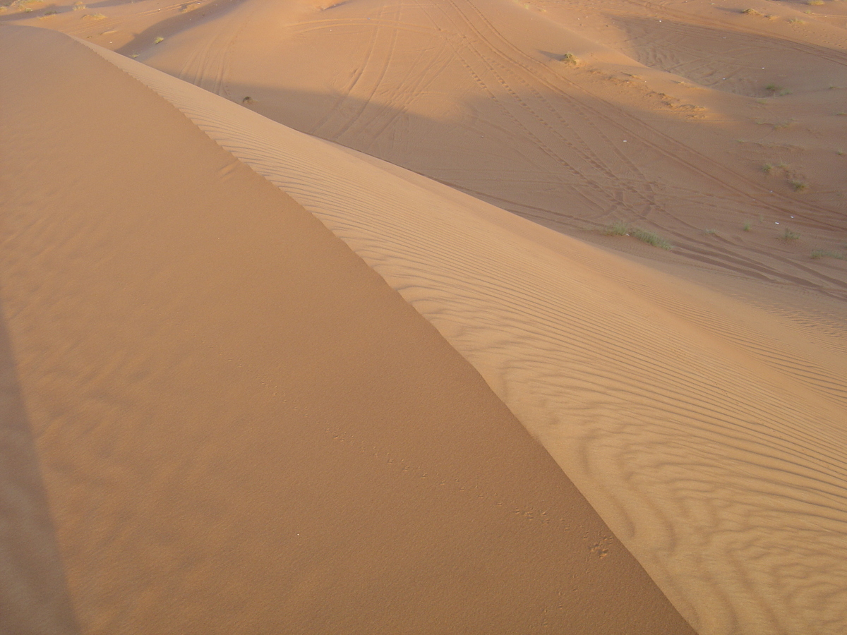 Picture United Arab Emirates Al Ain Desert 2005-11 0 - City Desert