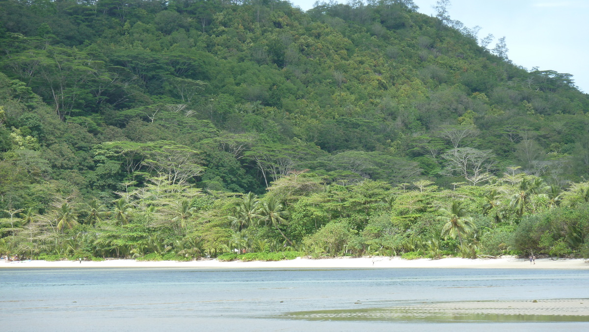 Picture Seychelles Mahe 2011-10 47 - Winter Mahe