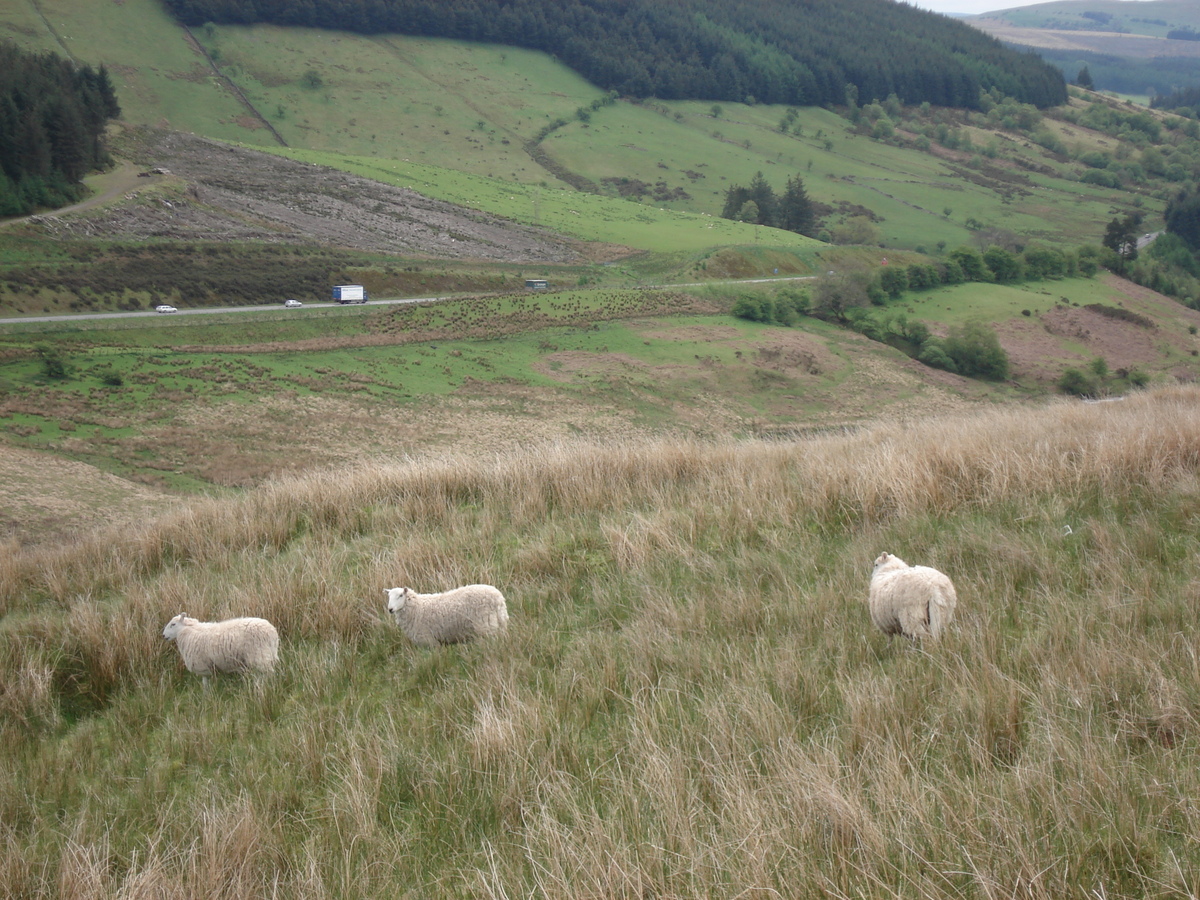 Picture United Kingdom Brecon Beacons National Parc 2006-05 92 - Rain Season Brecon Beacons National Parc