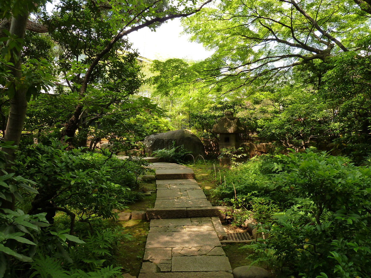 Picture Japan Tokyo Nezu Museum 2010-06 100 - Rain Season Nezu Museum