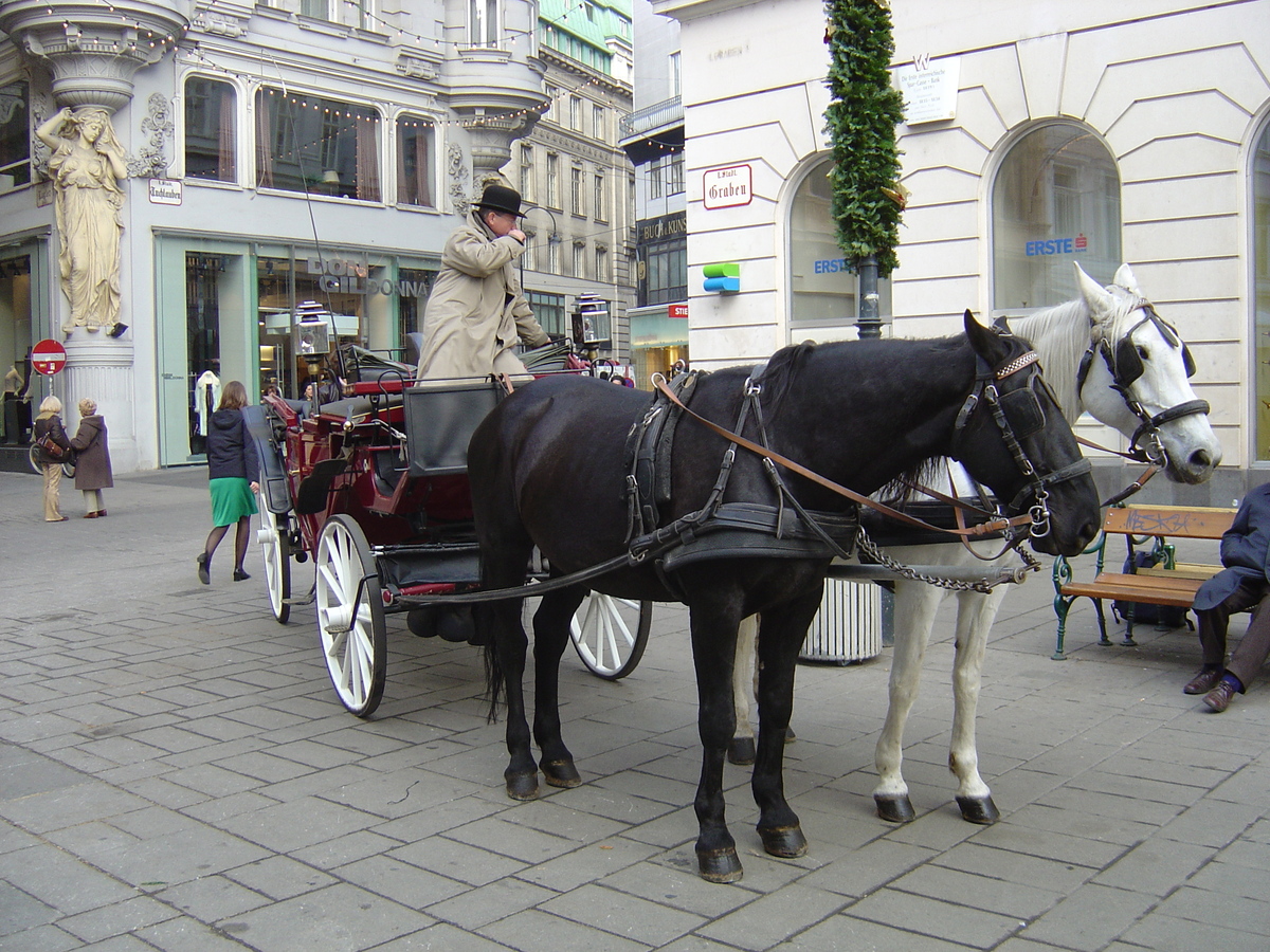 Picture Austria Vienna 2004-11 48 - Lakes Vienna