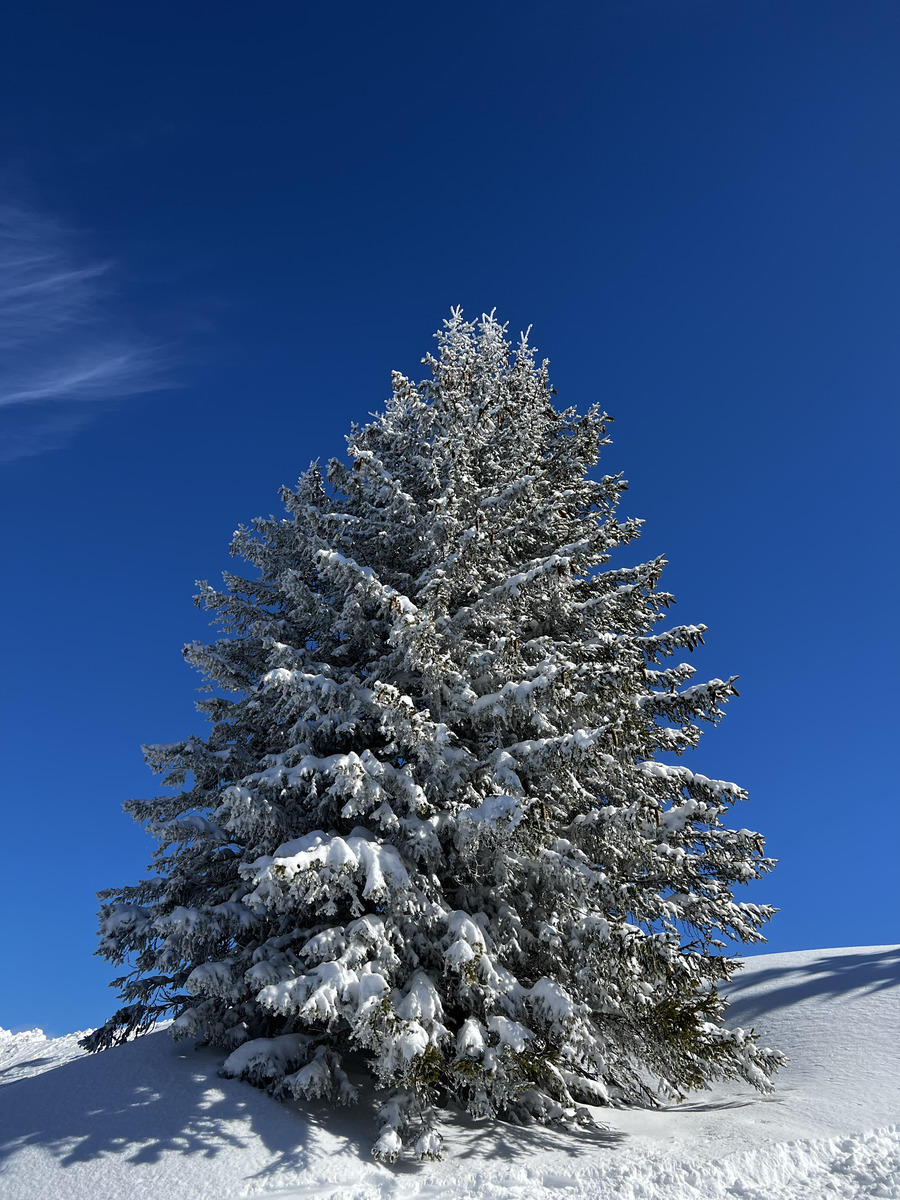 Picture France Megeve 2022-02 1 - City View Megeve