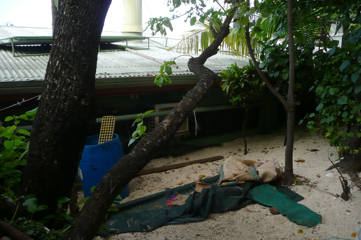 Picture Fiji Beachcomber Island 2010-05 47 - Sauna Beachcomber Island