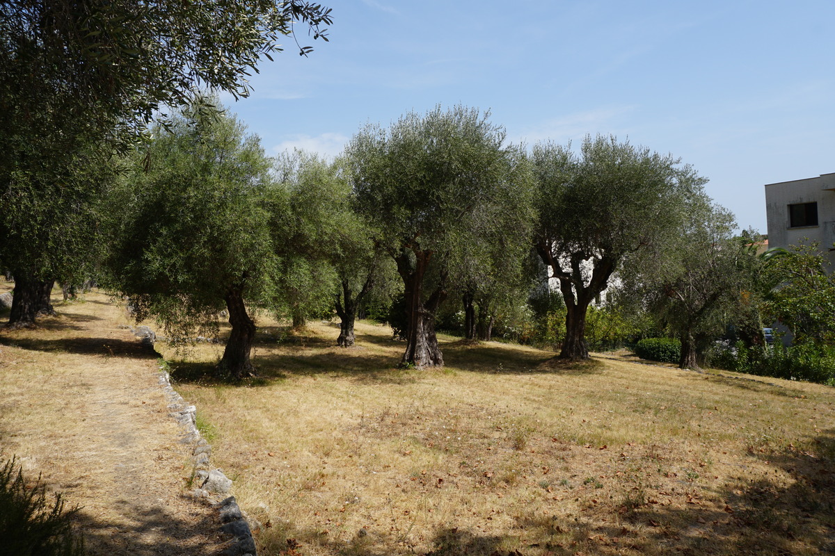 Picture France Vence 2017-08 15 - Monuments Vence