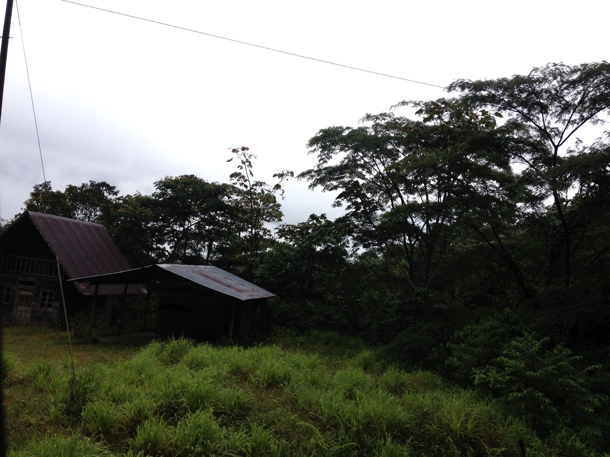 Picture Panama David to Bocas del toro 2015-03 76 - Monuments David to Bocas del toro