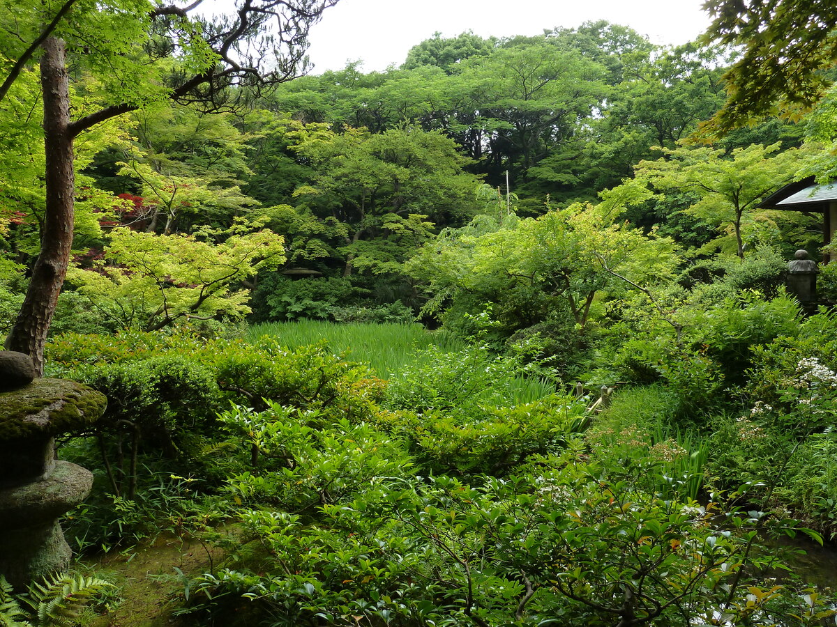 Picture Japan Tokyo Nezu Museum 2010-06 68 - Weather Nezu Museum