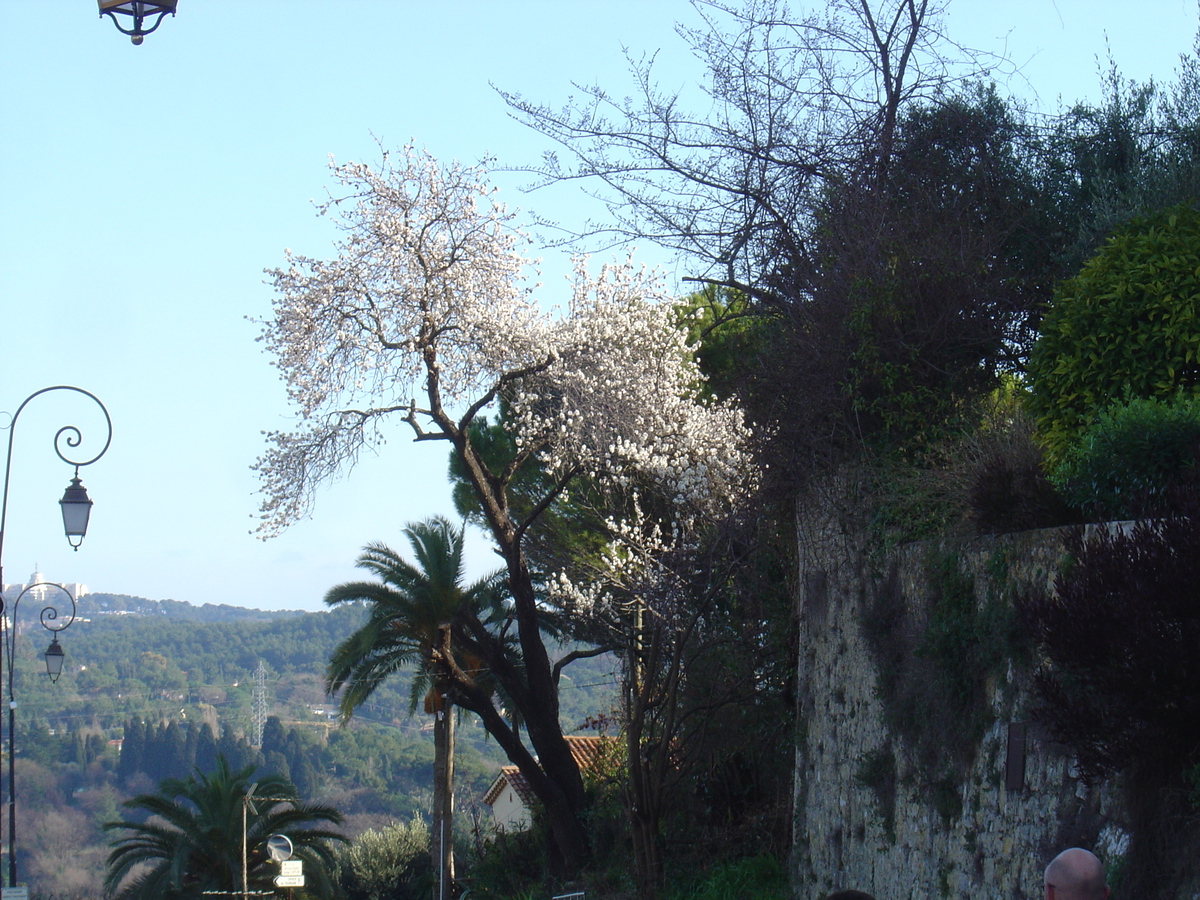 Picture France Mougins 2006-02 36 - SPA Mougins