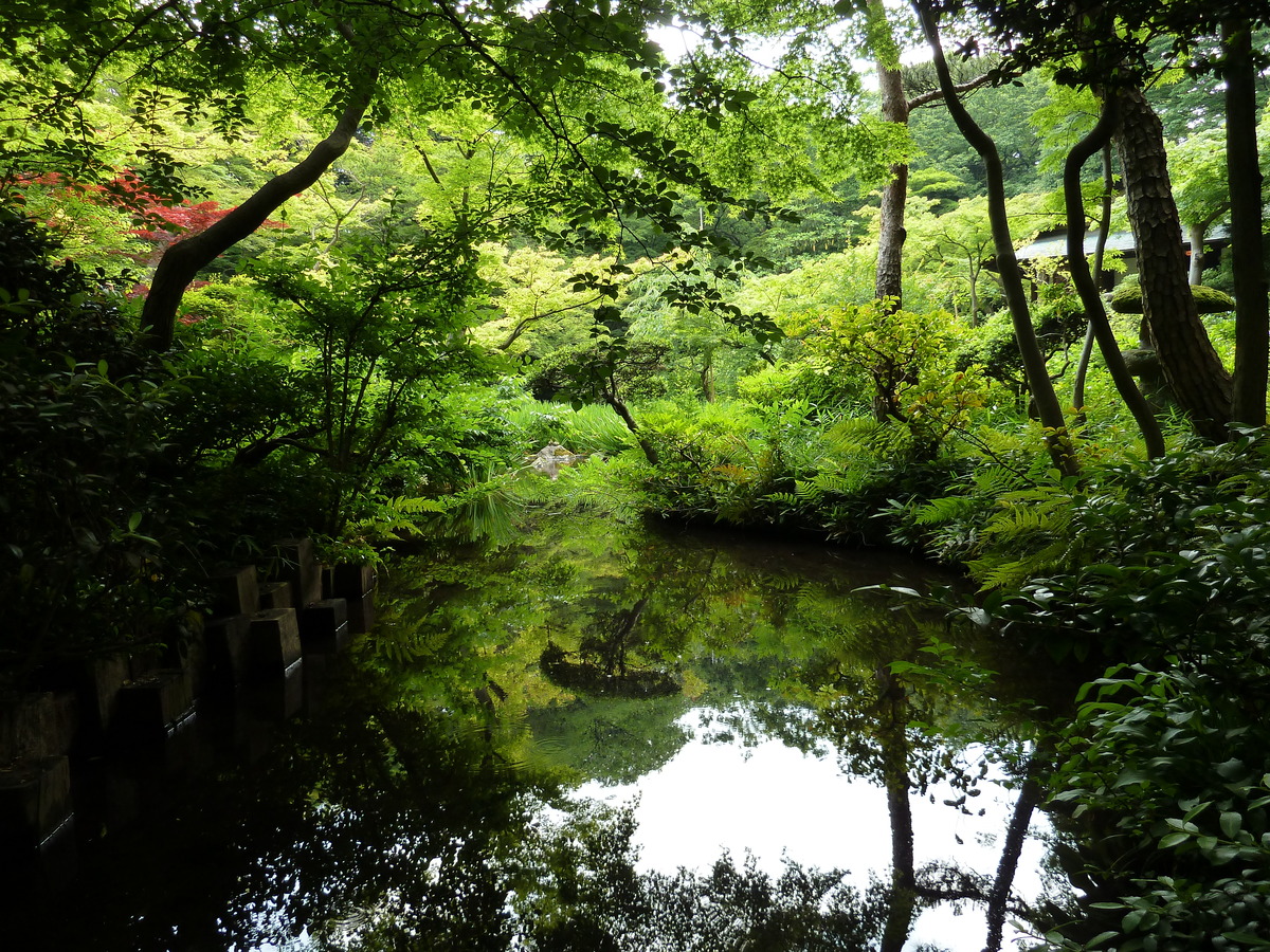 Picture Japan Tokyo Nezu Museum 2010-06 83 - City View Nezu Museum