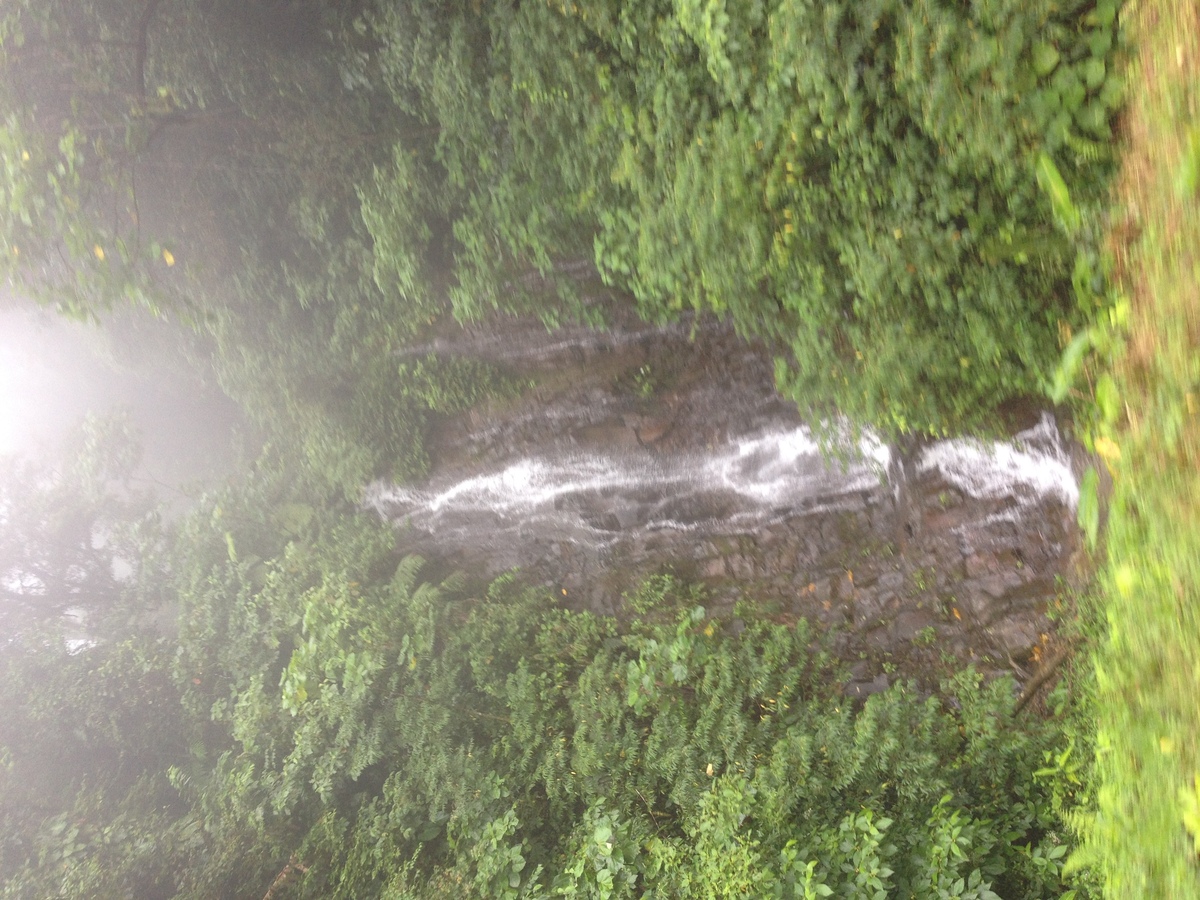 Picture Panama David to Bocas del toro 2015-03 50 - Waterfall David to Bocas del toro