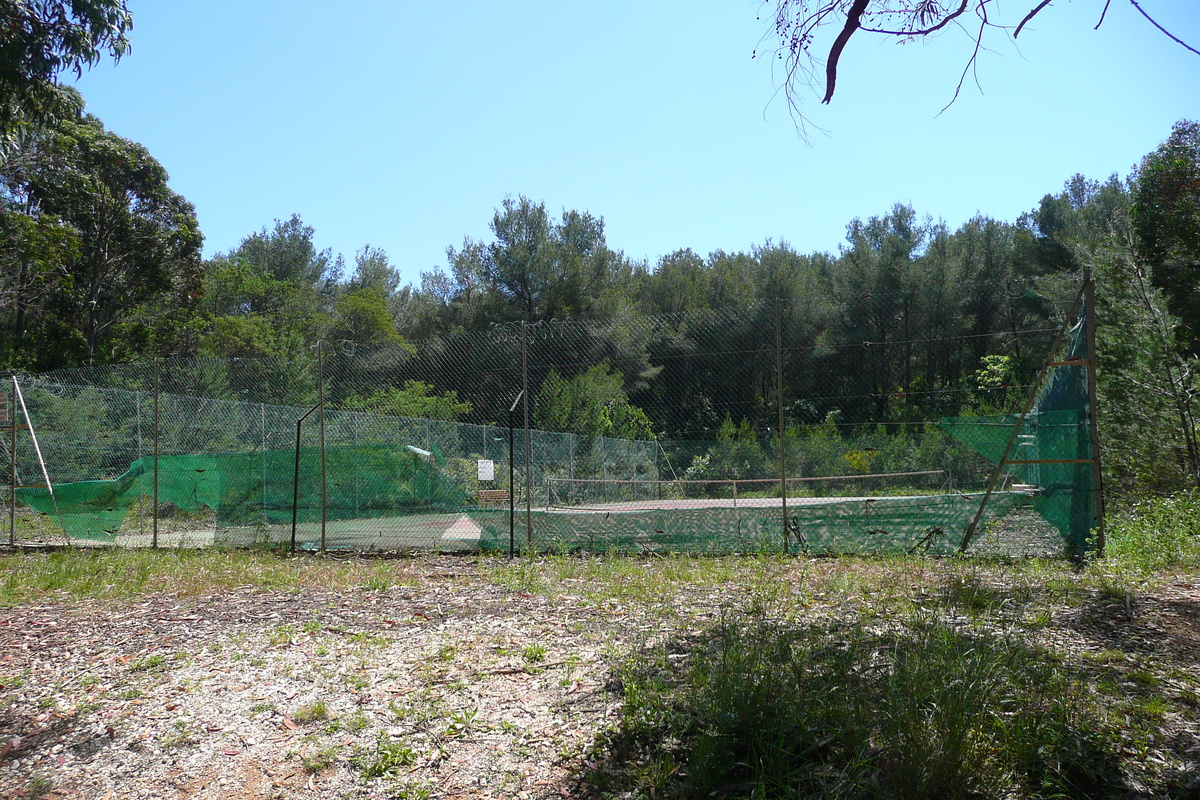 Picture France Porquerolles Island Plaine de la courtade 2008-05 35 - Rentals Plaine de la courtade