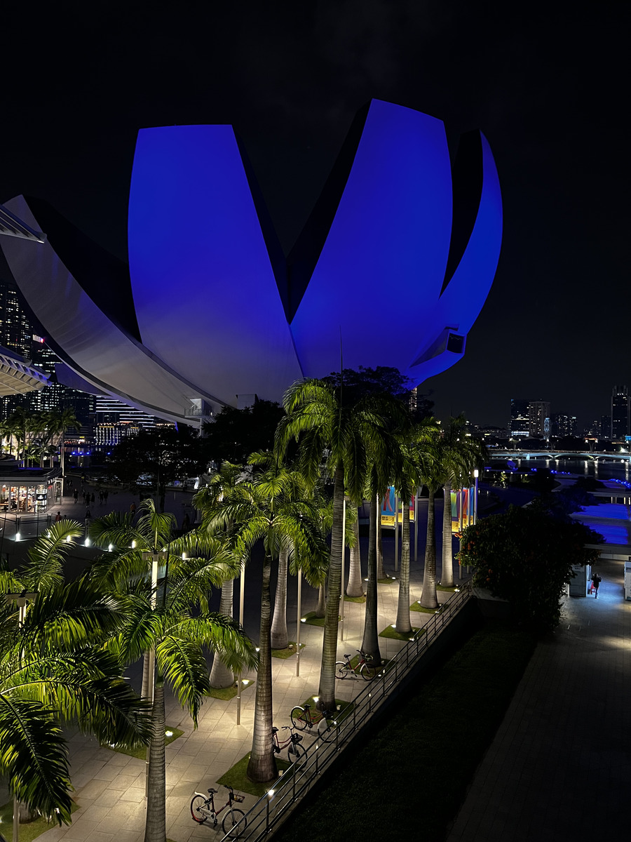 Picture Singapore Marina Bay Sands 2023-01 7 - Walking Street Marina Bay Sands