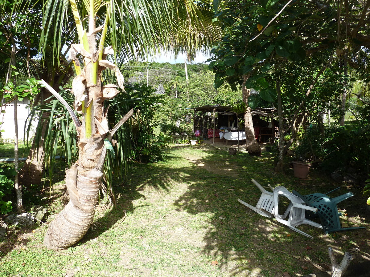 Picture New Caledonia Lifou Josip 2010-05 21 - Lake Josip