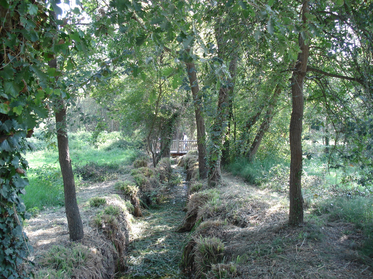 Picture France Villeneuve Loubet Parc de Vaugrenier 2006-09 4 - Waterfall Parc de Vaugrenier