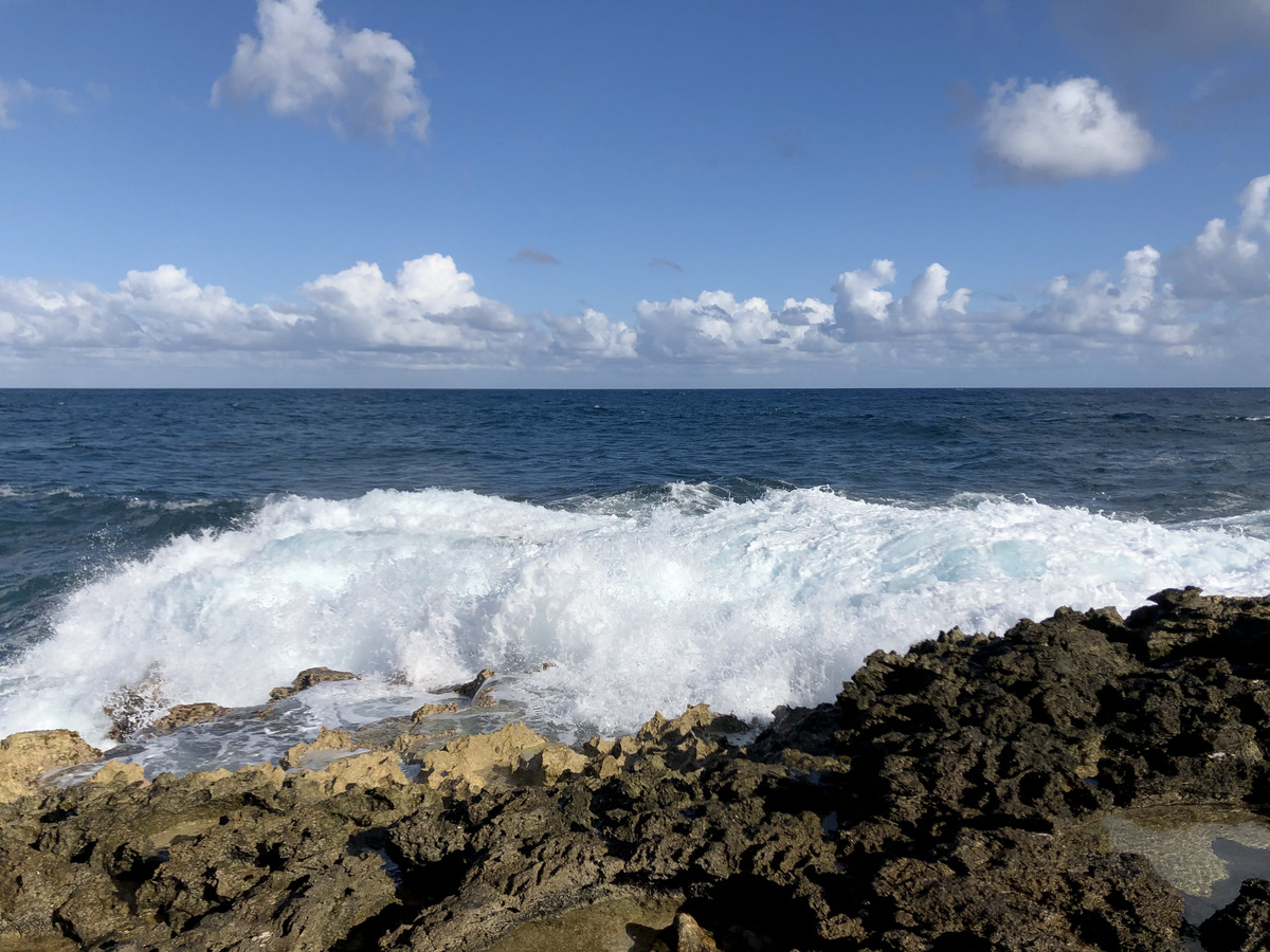 Picture Guadeloupe Castle Point 2021-02 282 - Cost Castle Point