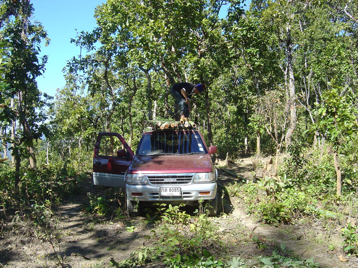 Picture Thailand Pang ma pha 2005-12 163 - Rain Season Pang ma pha