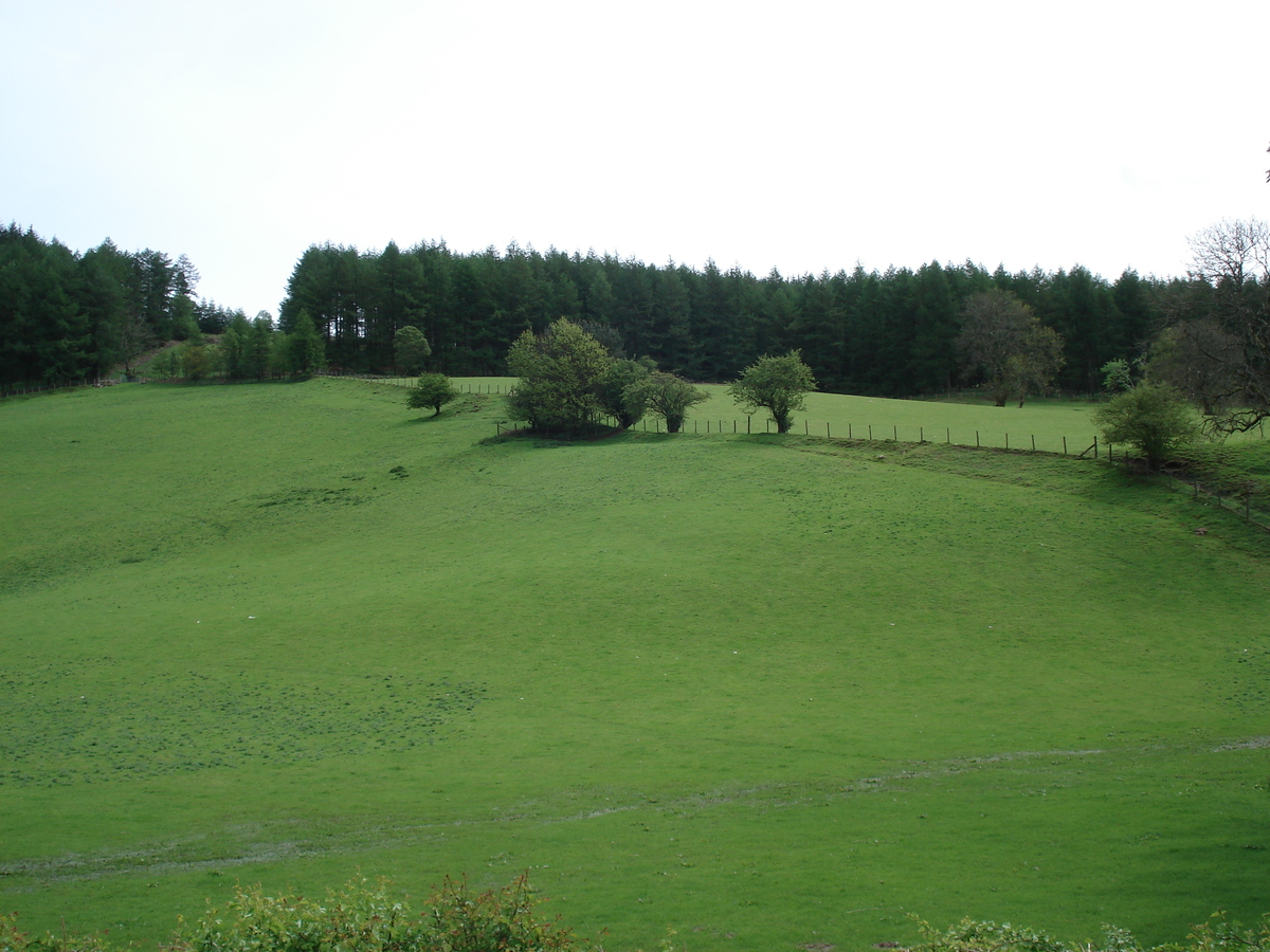 Picture United Kingdom Brecon Beacons National Parc 2006-05 10 - Night Brecon Beacons National Parc