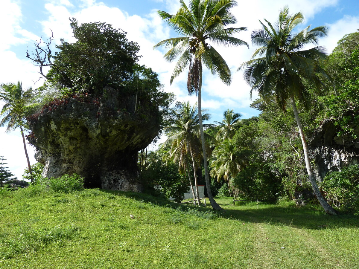 Picture New Caledonia Lifou Josip 2010-05 5 - Saving Josip