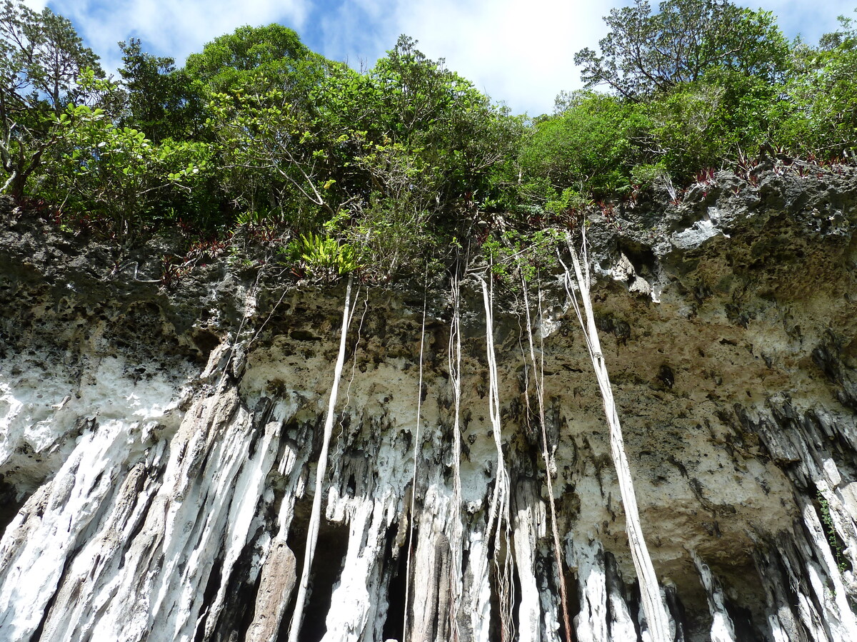 Picture New Caledonia Lifou Josip 2010-05 9 - Waterfall Josip