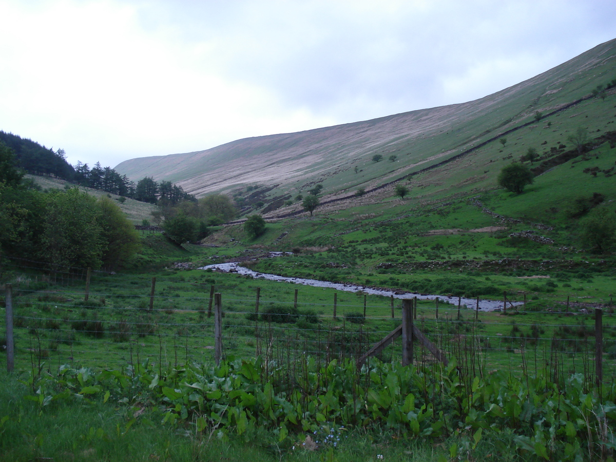 Picture United Kingdom Brecon Beacons National Parc 2006-05 8 - French Restaurant Brecon Beacons National Parc