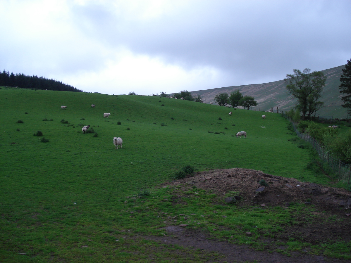 Picture United Kingdom Brecon Beacons National Parc 2006-05 100 - Lake Brecon Beacons National Parc