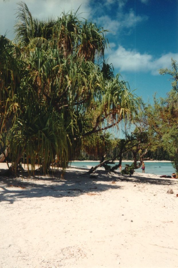 Picture Polynesia Moorea 1993-04 32 - Monuments Moorea