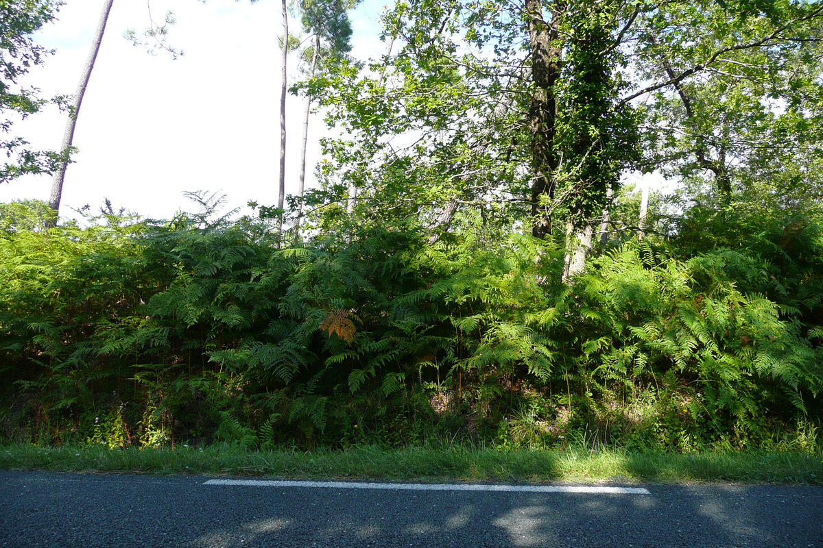 Picture France Gironde lakes road 2007-08 8 - Transport Gironde lakes road