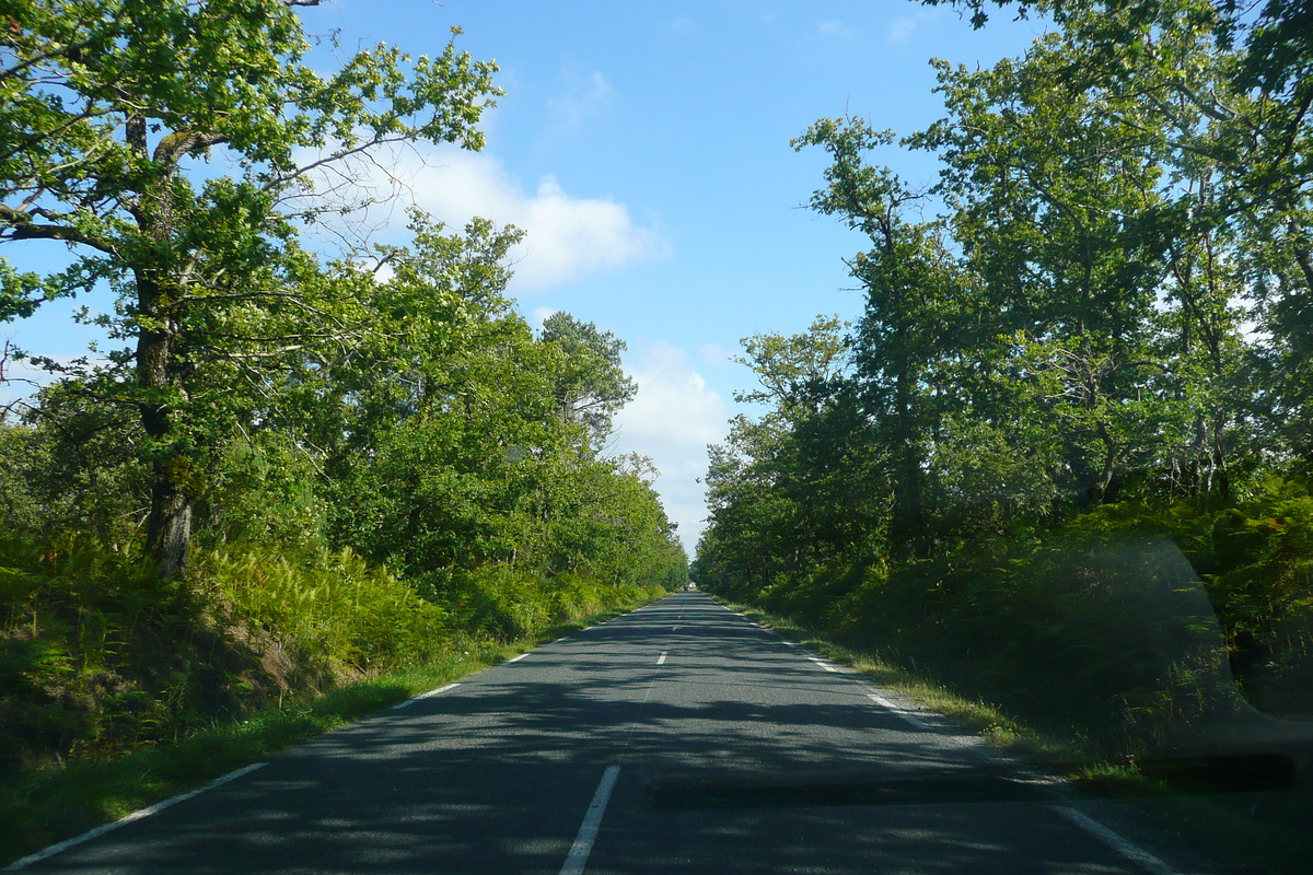 Picture France Gironde lakes road 2007-08 1 - Shopping Gironde lakes road