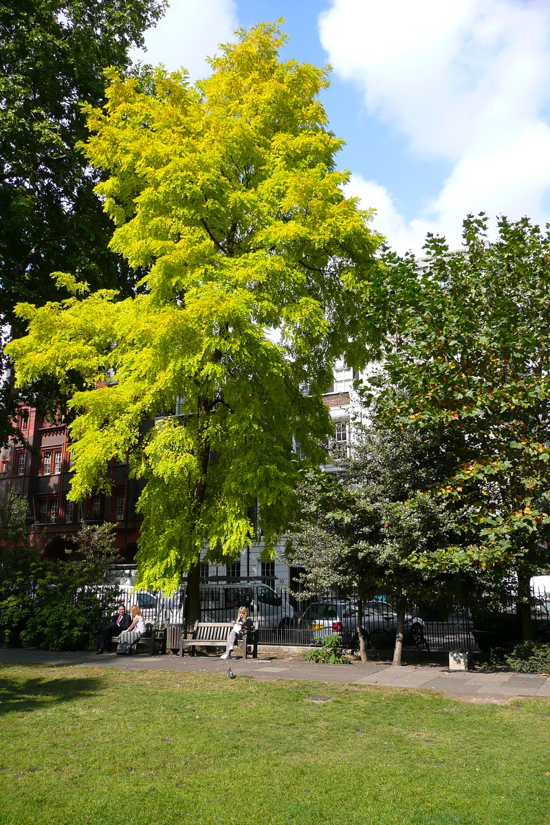 Picture United Kingdom London Soho Square 2007-09 52 - French Restaurant Soho Square